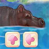 Jeu avec un hippopotame